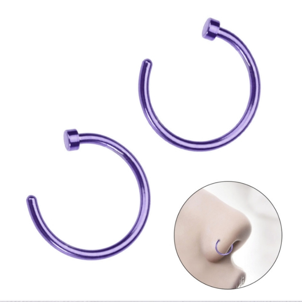 2 Nose Ring Hoops